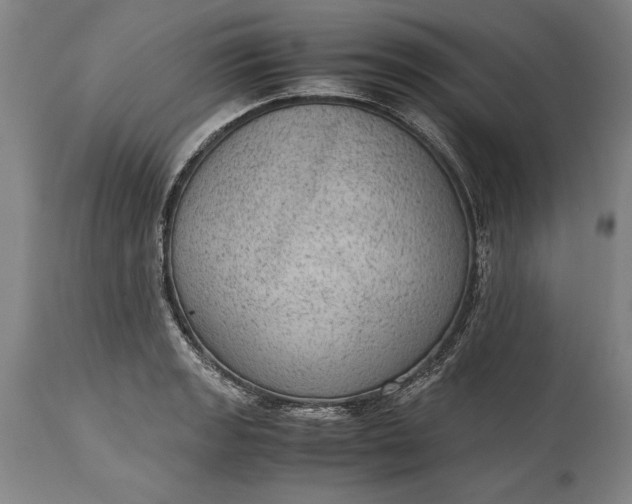 X0000115441133200911181517