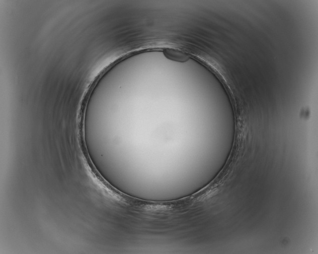 X0000115441135200911181517