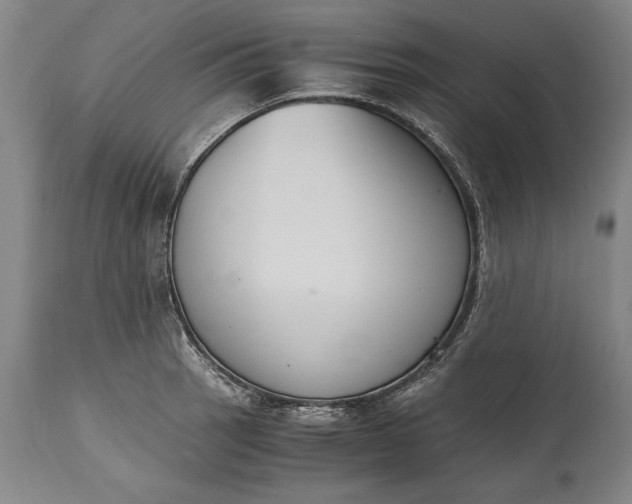 X0000115441137200911181517
