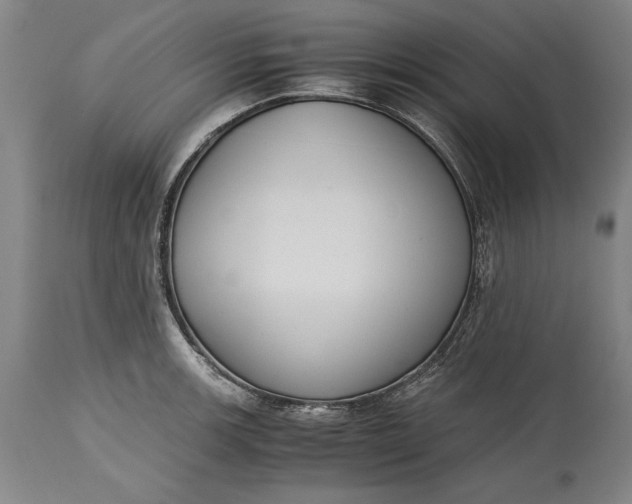 X0000115441139200911181517