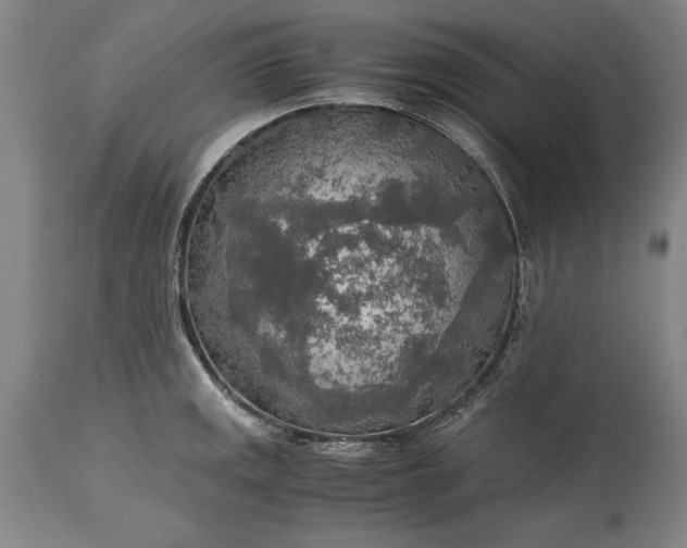 X0000115441141200911181517