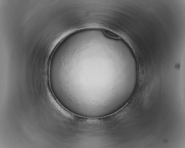 X0000115441142200911181517