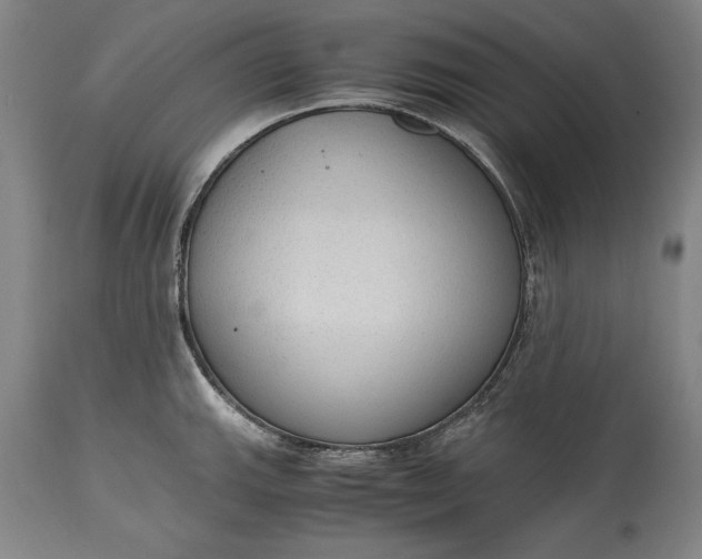 X0000115441143200911181517