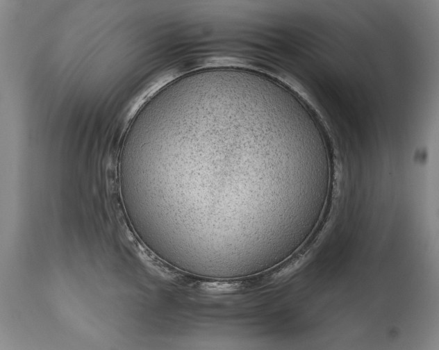 X0000115441145200911181517