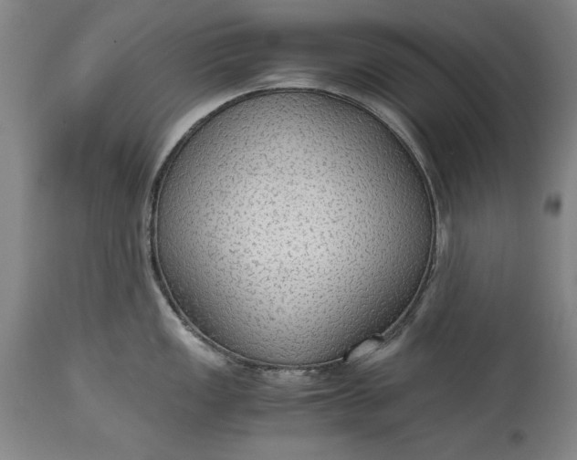 X0000115441149200911181518