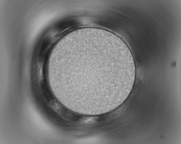 X0000115441150200911181518