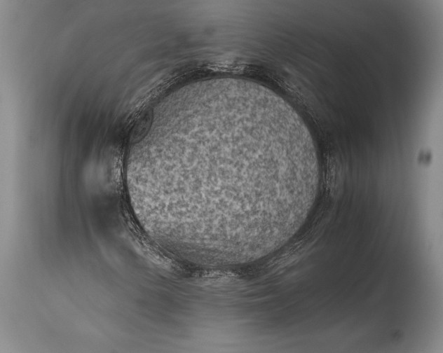 X0000115441154200911181517