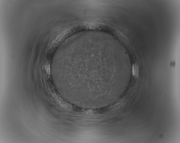 X0000115441155200911181517