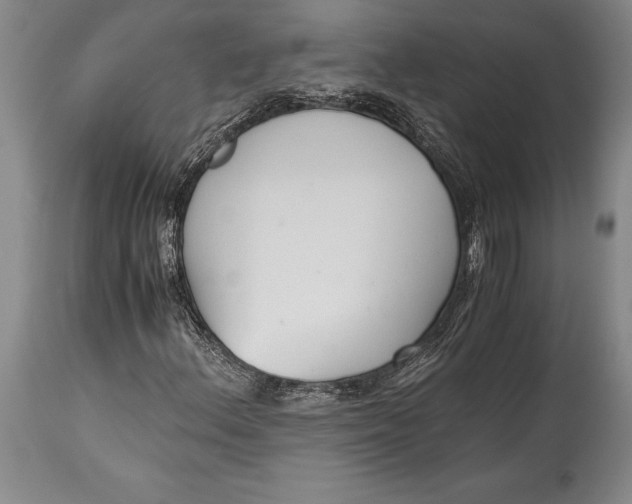 X0000115441156200911181517