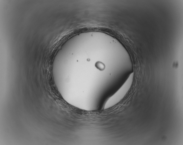 X0000115441157200911181517