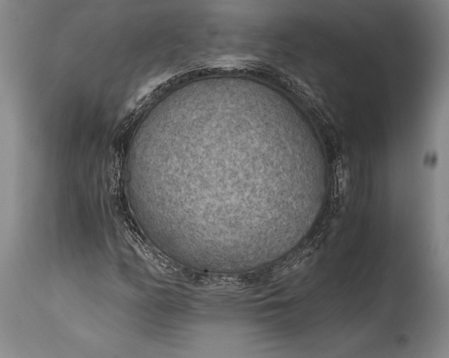 X0000115441158200911181517