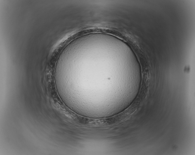 X0000115441159200911181517