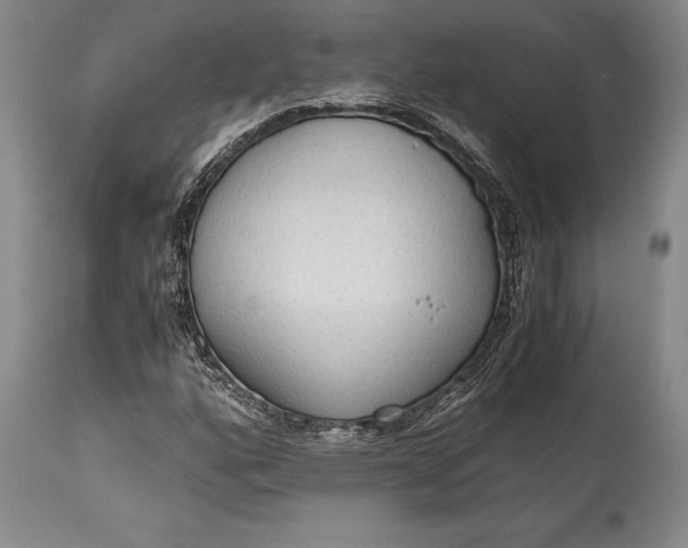 X0000115441160200911181517