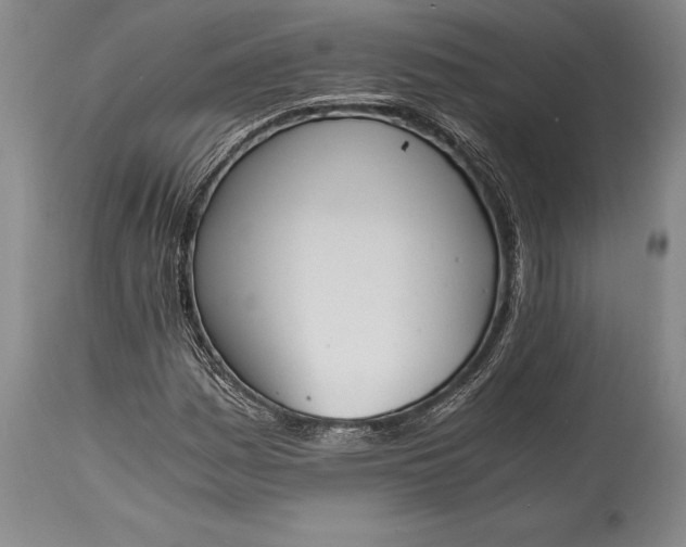 X0000115441161200911181517