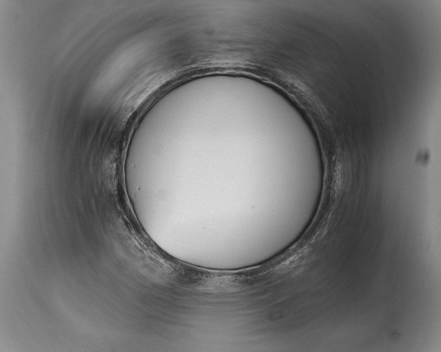 X0000115441162200911181517