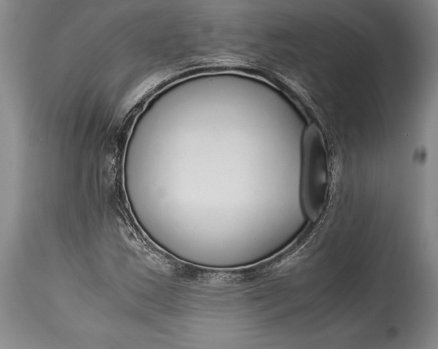 X0000115441163200911181517