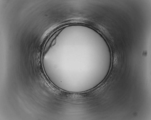 X0000115441164200911181517