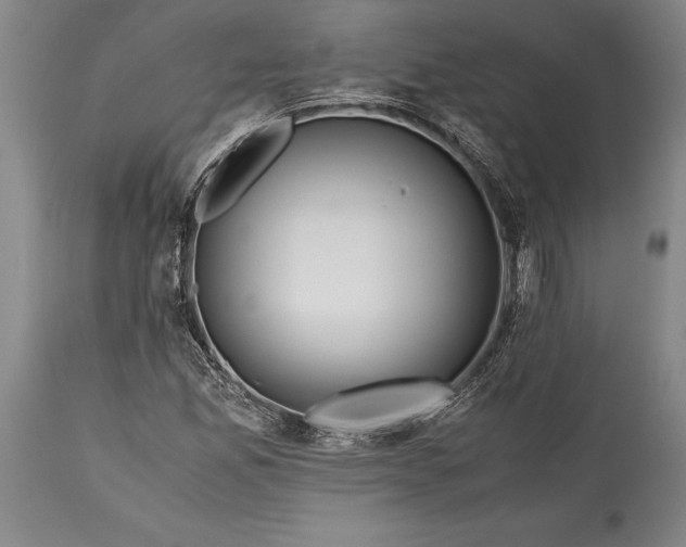 X0000115441165200911181517