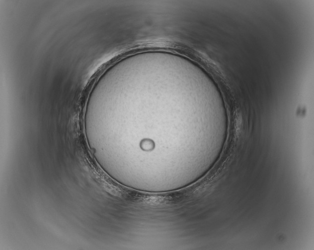X0000115441166200911181517
