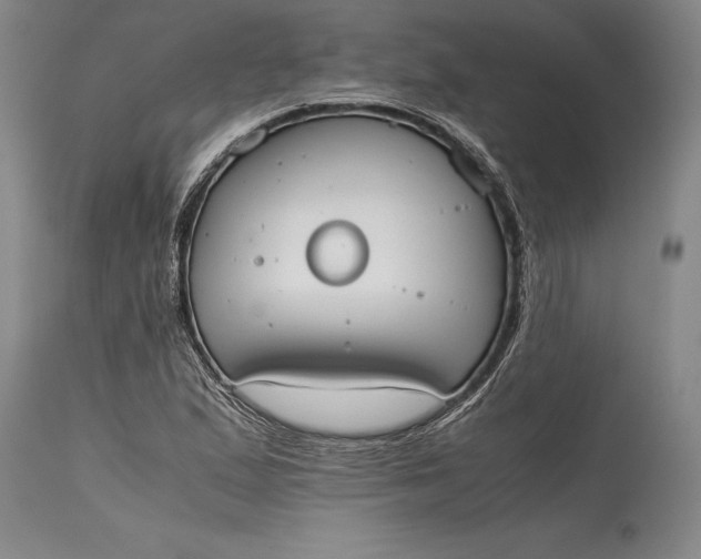 X0000115441167200911181517