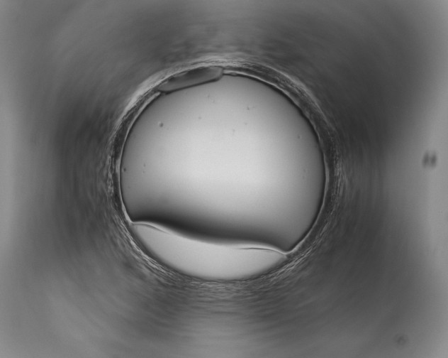 X0000115441168200911181517