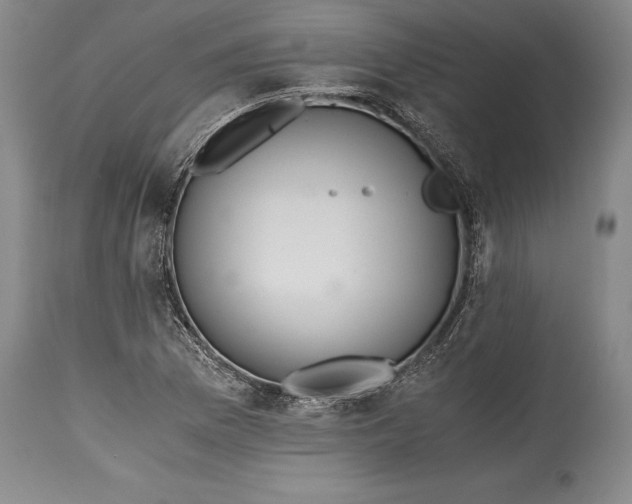 X0000115441169200911181517