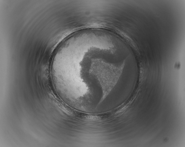 X0000115441170200911181517