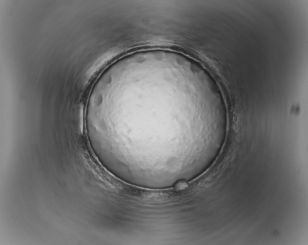 X0000115441171200911181517