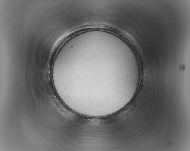 X0000115441172200911181517