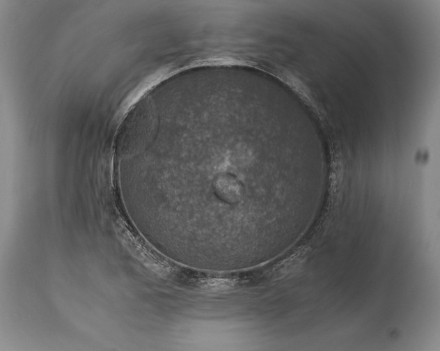 X0000115441173200911181517