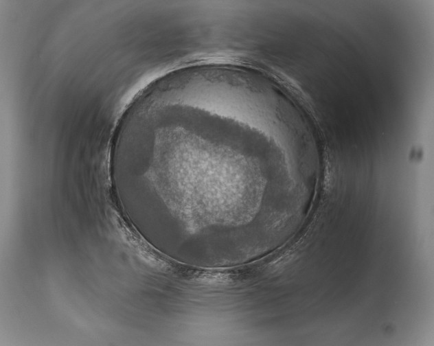 X0000115441174200911181517