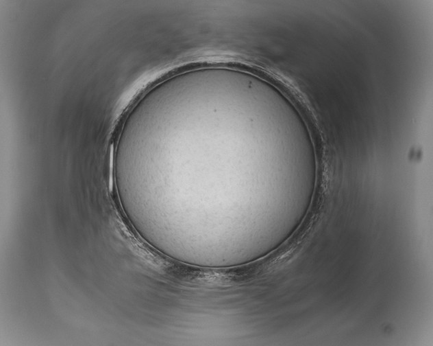 X0000115441175200911181517