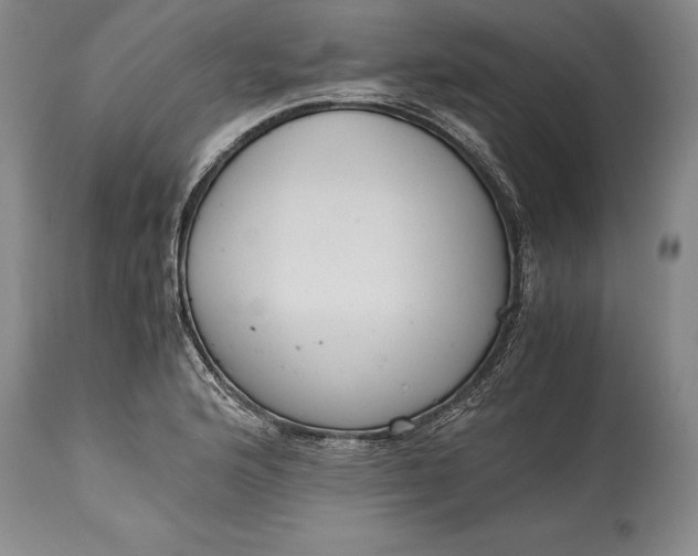 X0000115441176200911181517