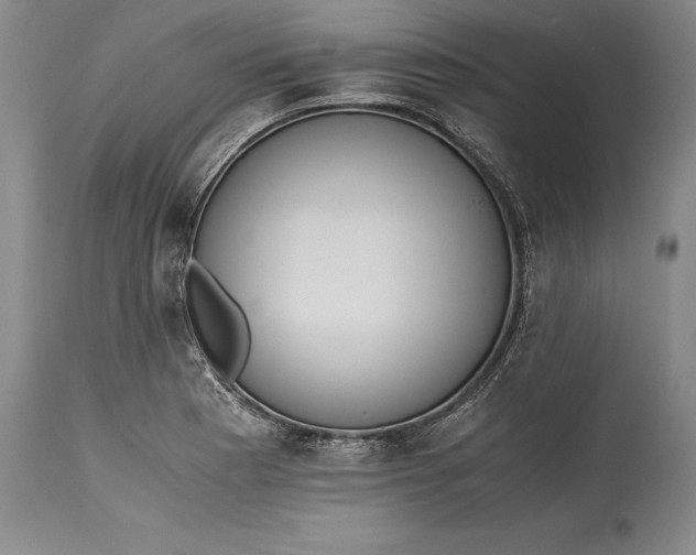 X0000115441177200911181517