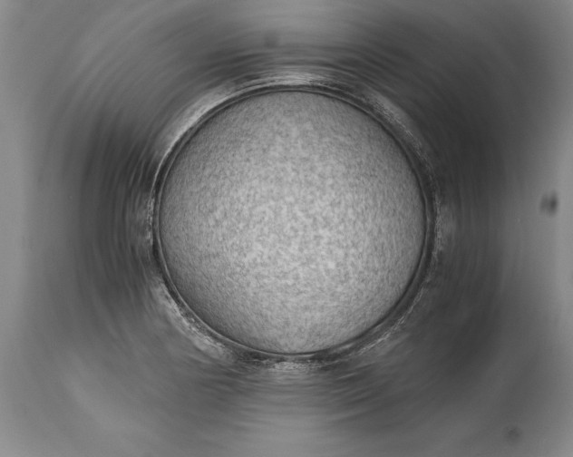 X0000115441178200911181517