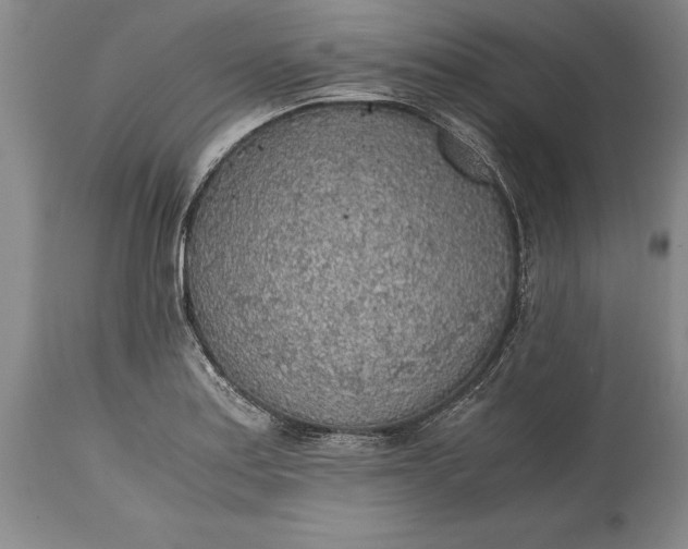 X0000115441179200911181517
