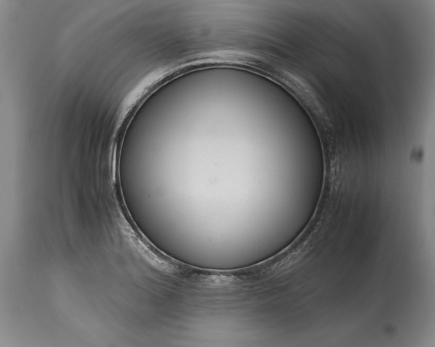 X0000115441180200911181517