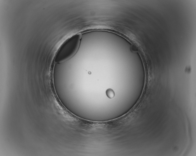 X0000115441181200911181517