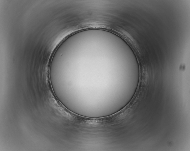 X0000115441182200911181517