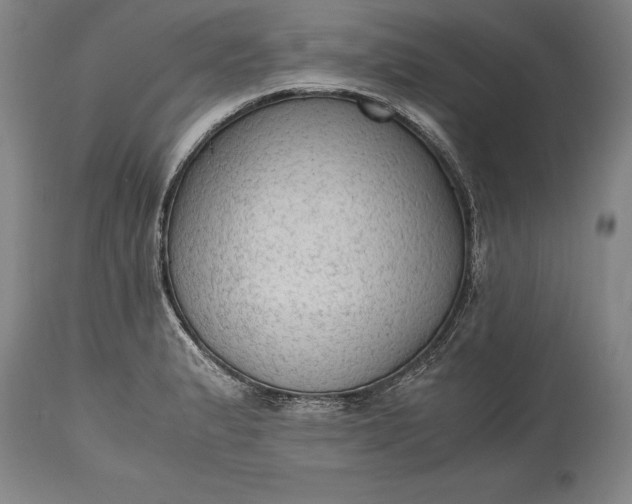 X0000115441183200911181517
