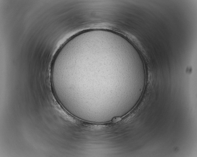 X0000115441184200911181516