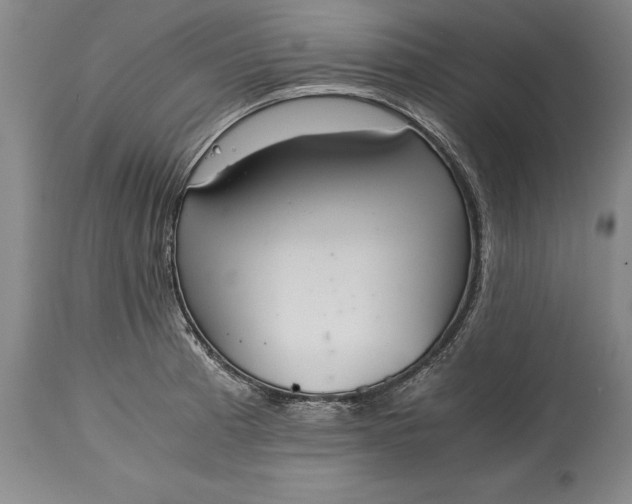 X0000115441185200911181516