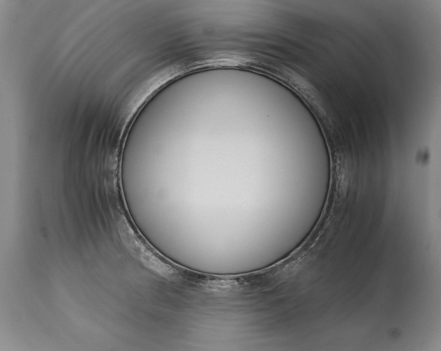 X0000115441186200911181516