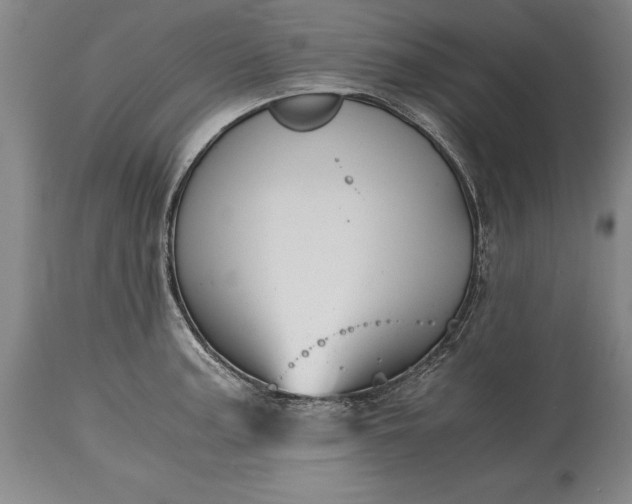 X0000115441187200911181516