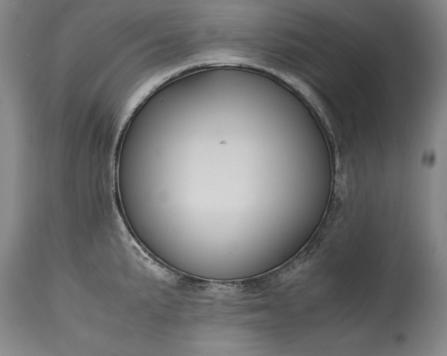 X0000115441191200911181516