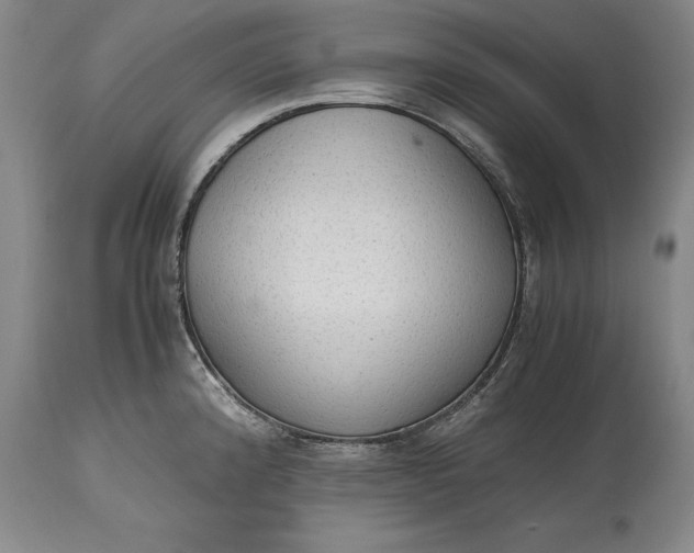 X0000115441192200911181516