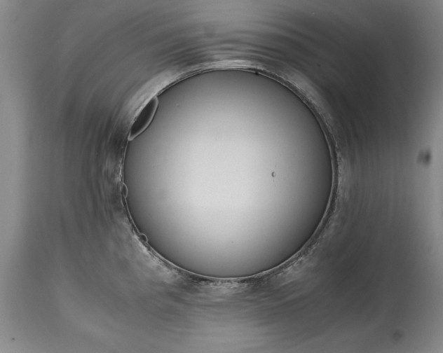 X0000115441193200911181516