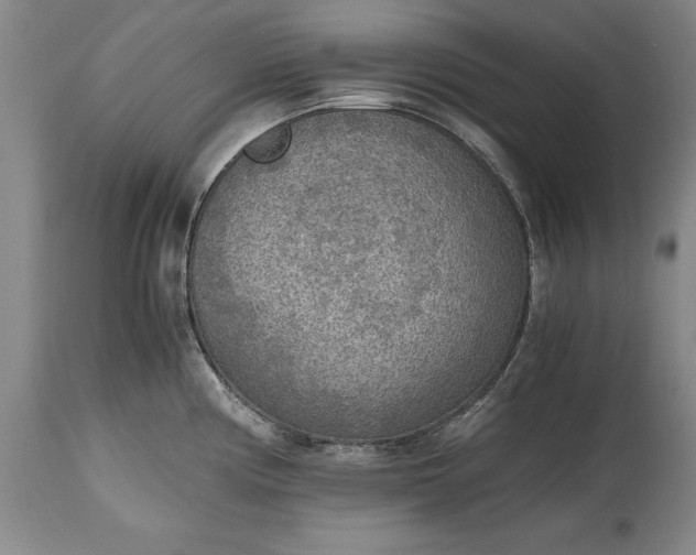 X0000115441194200911181516