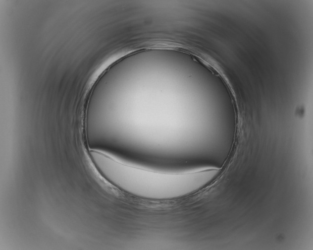 X0000115441195200911181516