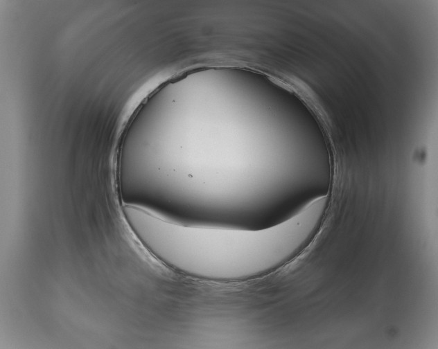 X0000115441196200911181516